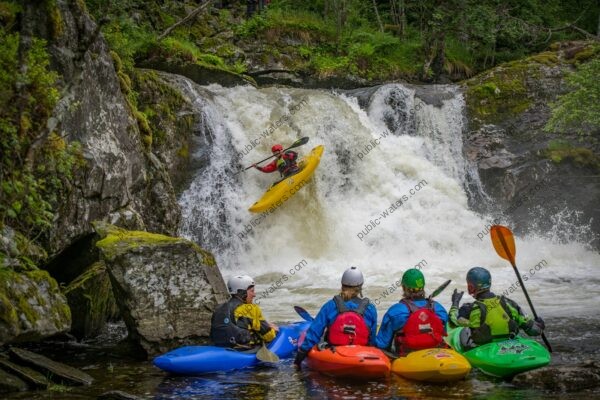 canoes