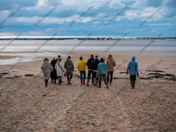 group of people standing on beach during daytime