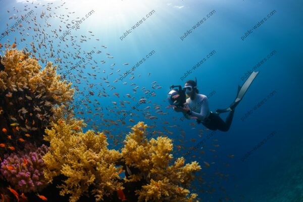 a woman scubas in the ocean with a camera