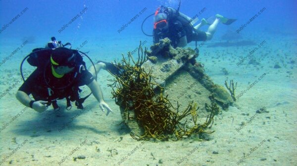 a couple of people that are in the water