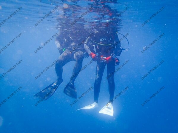 a couple of people that are in the water