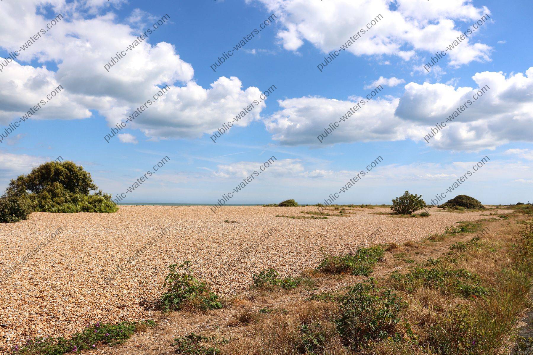 Walmer Beach Shrubs Trees